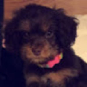 Meet your Posher, Skyler